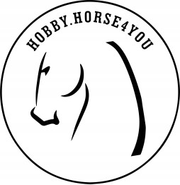 Hobby Horse H4Y DIY Kit A3 XXL