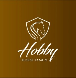 Hobby Horse Halter and Reins - Various Colors