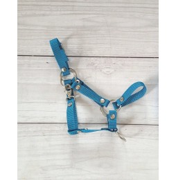 Hobby Horse A3 Turquoise Halter