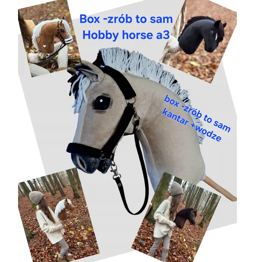 Set DIY pentru hobby horse