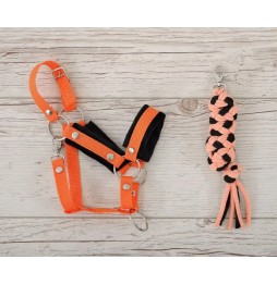 Hobby Horse A3 Halter and Lead Rope - Orange