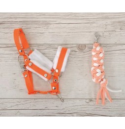 Hobby Horse A3 Halter and Lead Rope - Orange