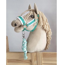 Ușa alb-mentă pentru Hobby Horse