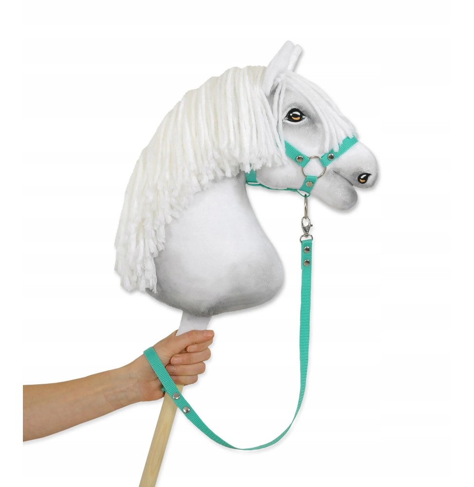 Hobby Horse Lead Rope - Mint Color