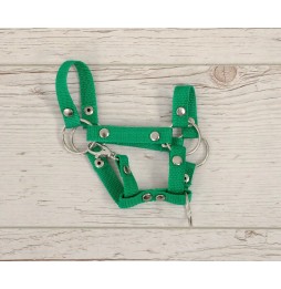 Hobby Horse A4 Halter Green