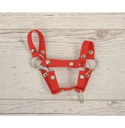 Hobby Horse A4 Halter - Red