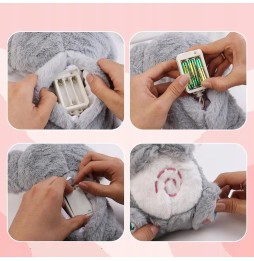 Musical Koala 30cm - Plush Toy for Kids