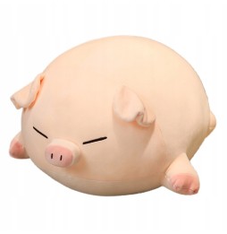 Kung Fu Pig Plush Toy 70 cm