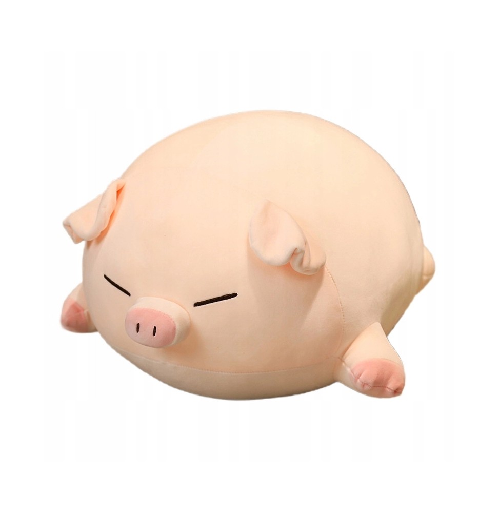 Kung Fu Pig Plush Toy 70 cm