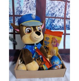 Paw Patrol Gift Set with Skye Plush Toy