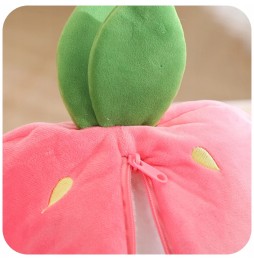 Strawberry Carrot Bunny Plush