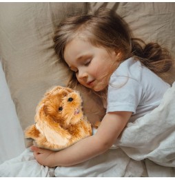 Interactive Dog Toy on a Leash for Kids