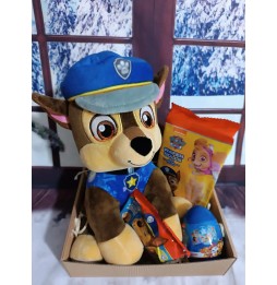 Paw Patrol Gift Set with Skye Plush Toy