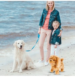 Interactive Dog Toy on a Leash for Kids