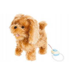 Interactive Dog Toy on a Leash for Kids