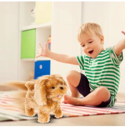 Interactive Dog Toy on a Leash for Kids