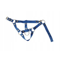 Hobby Horse A4 Set - halter and lead