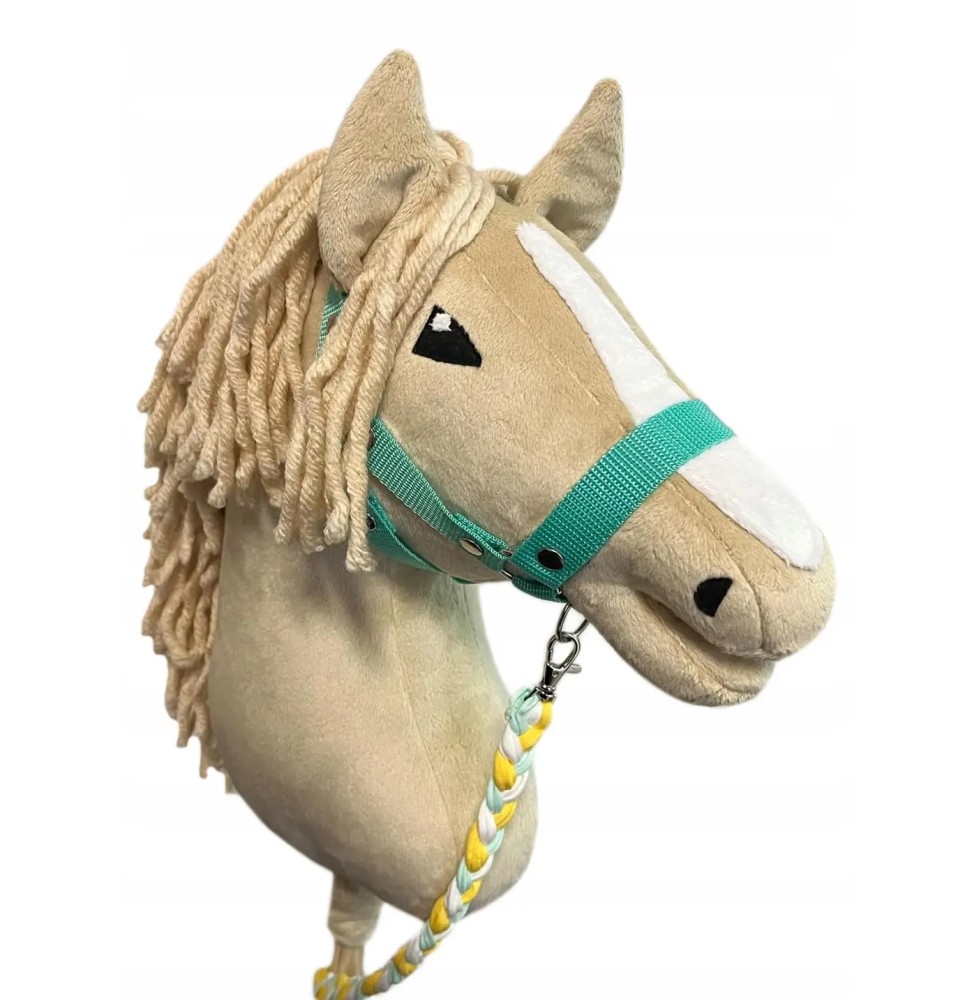 Hobby Horse Set A3, Mint Halter and Lead Rope