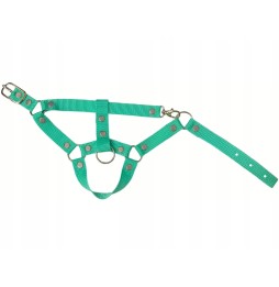 Hobby Horse Set A3, Mint Halter and Lead Rope