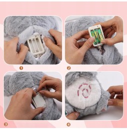 Musical Koala Sleep Doll for Kids