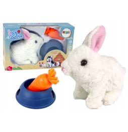 Interactive Bunny Jumps and Walks for Easter