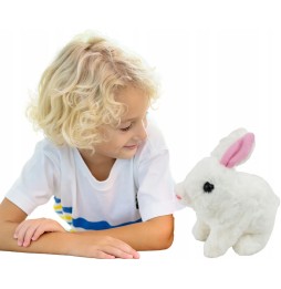 Interactive Bunny Jumps and Walks for Easter