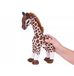 30cm Plush Giraffe from Beppe