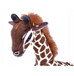 30cm Plush Giraffe from Beppe