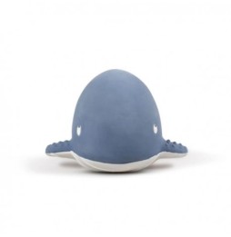 Filibabba sensory whale teether Christian