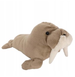 Morse Plush Toy 28cm For Kids