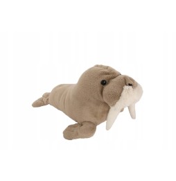 Morse Plush Toy 28cm For Kids