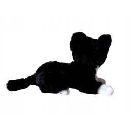 Beppe kotek Flico z kokardką 34 cm