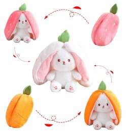 25cm Rabbit Plush Toy 2in1