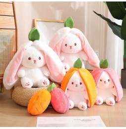 25cm Rabbit Plush Toy 2in1