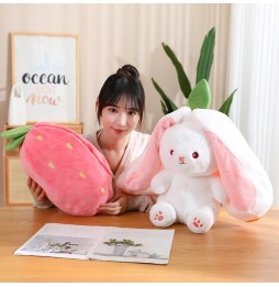 25cm Rabbit Plush Toy 2in1