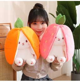 25cm Rabbit Plush Toy 2in1