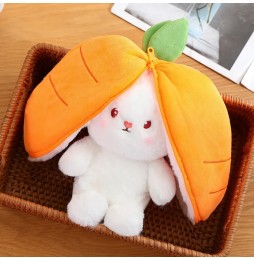 25cm Rabbit Plush Toy 2in1