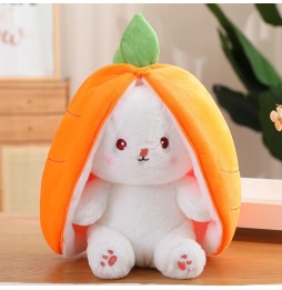 25cm Rabbit Plush Toy 2in1