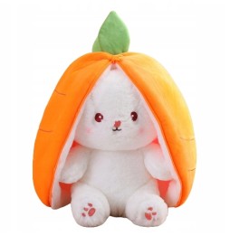 25cm Rabbit Plush Toy 2in1