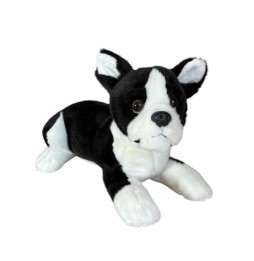 Ursuleț boston terrier pentru copii