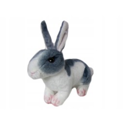 Plush Rabbit Toy 20 cm for Kids