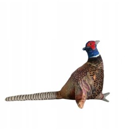 Pheasant Plush Toy for Kids