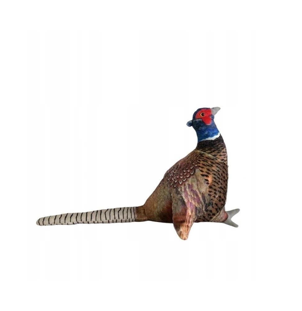 Pheasant Plush Toy for Kids