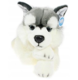 DUBI 42 cm Plush Husky Toy