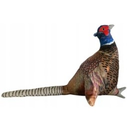 Pheasant Plush Toy for Kids