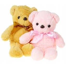 21cm Plush Teddy Bear