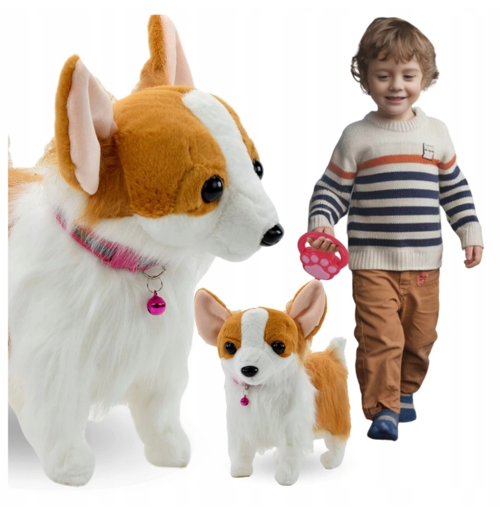 Interactive Corgi Dog on a Leash