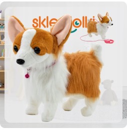 Interactive Corgi Dog on a Leash