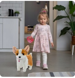 Interactive Corgi Dog on a Leash