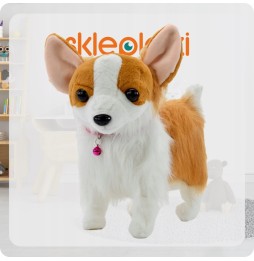 Interactive Corgi Dog on a Leash